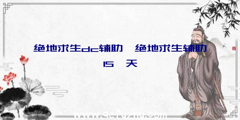 绝地求生dc辅助、绝地求生辅助15一天