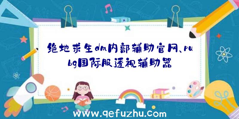 绝地求生dm内部辅助官网、pubg国际服透视辅助器