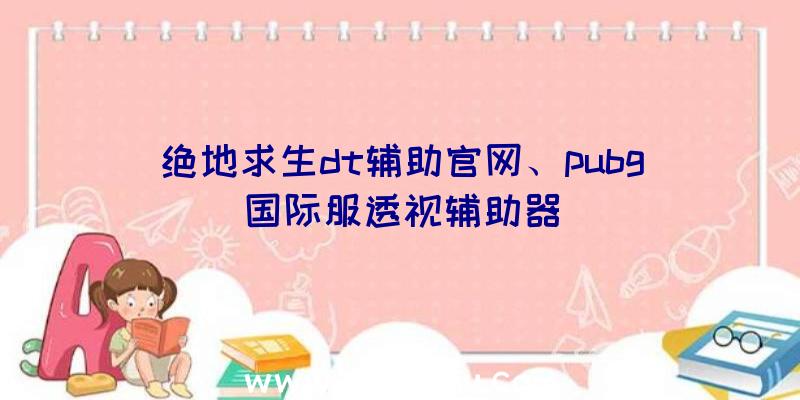 绝地求生dt辅助官网、pubg国际服透视辅助器