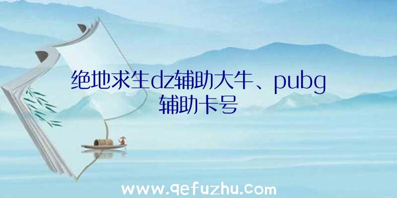 绝地求生dz辅助大牛、pubg辅助卡号