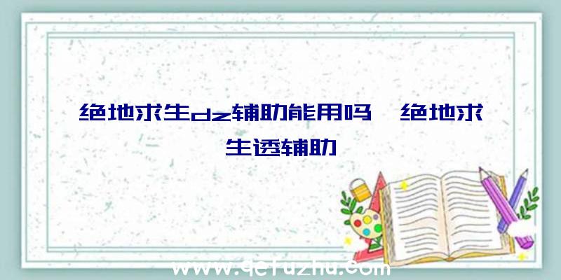 绝地求生dz辅助能用吗、绝地求生透辅助