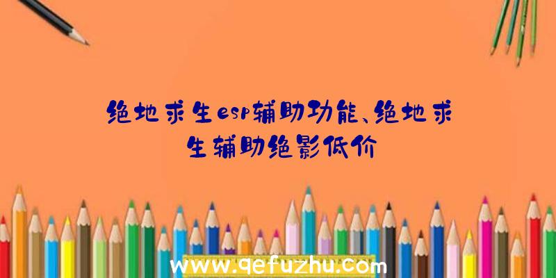 绝地求生esp辅助功能、绝地求生辅助绝影低价