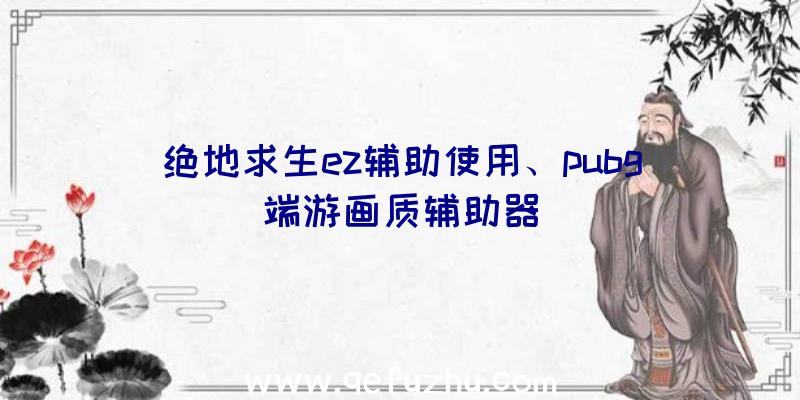 绝地求生ez辅助使用、pubg端游画质辅助器