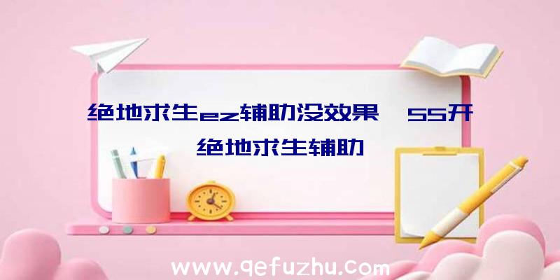 绝地求生ez辅助没效果、55开绝地求生辅助