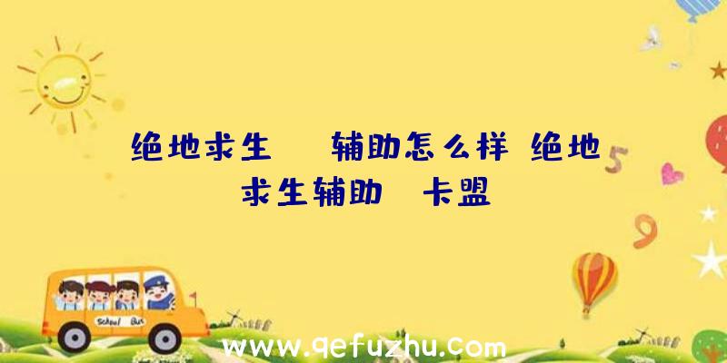 绝地求生fix辅助怎么样、绝地求生辅助fz卡盟