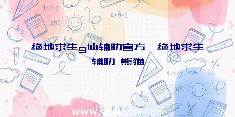 绝地求生g仙辅助官方、绝地求生辅助