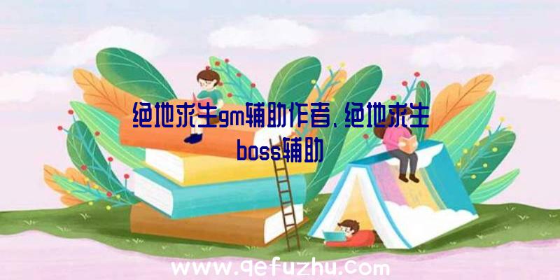 绝地求生gm辅助作者、绝地求生boss辅助