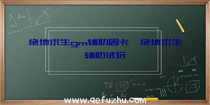 绝地求生gm辅助周卡、绝地求生辅助试玩