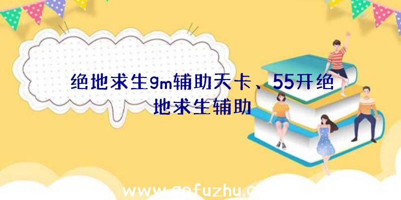 绝地求生gm辅助天卡、55开绝地求生辅助