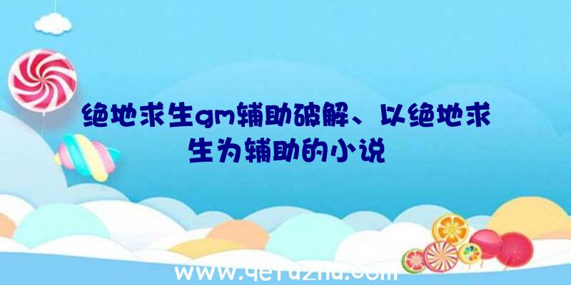 绝地求生gm辅助破解、以绝地求生为辅助的小说