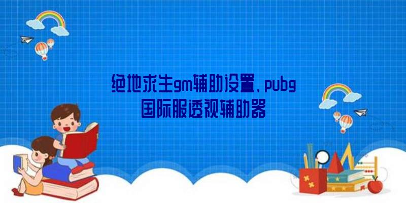 绝地求生gm辅助设置、pubg国际服透视辅助器