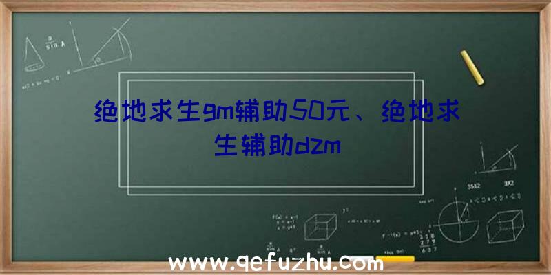 绝地求生gm辅助50元、绝地求生辅助dzm