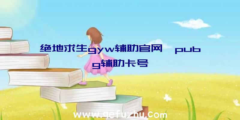 绝地求生gyw辅助官网、pubg辅助卡号