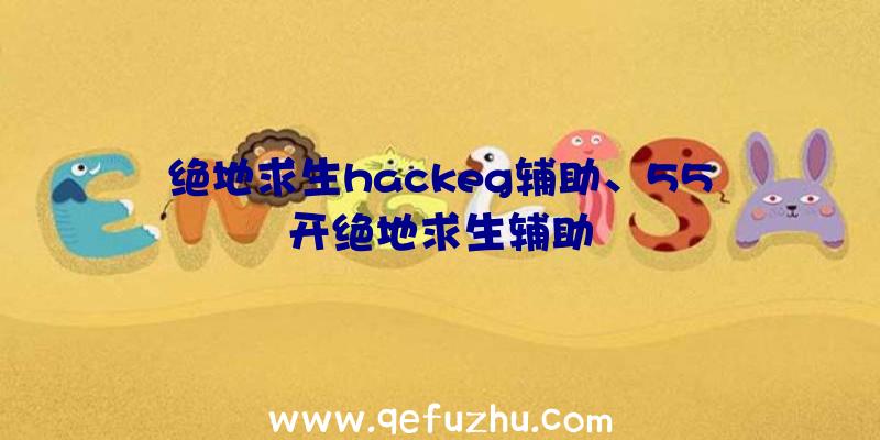 绝地求生hackeg辅助、55开绝地求生辅助