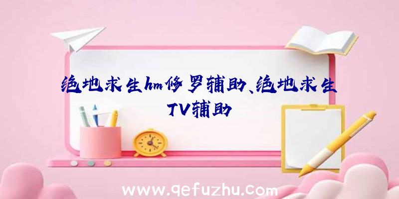 绝地求生hm修罗辅助、绝地求生TV辅助