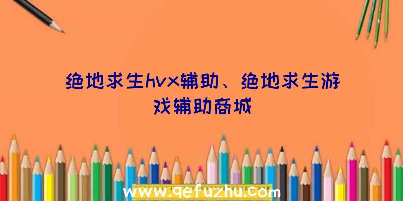 绝地求生hvx辅助、绝地求生游戏辅助商城