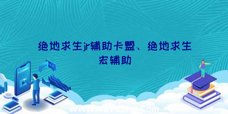 绝地求生jr辅助卡盟、绝地求生宏辅助