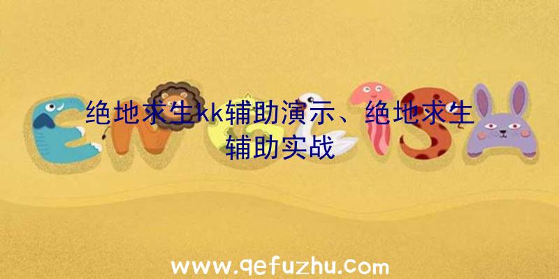 绝地求生kk辅助演示、绝地求生辅助实战