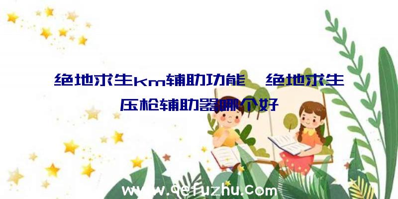 绝地求生km辅助功能、绝地求生压枪辅助器哪个好