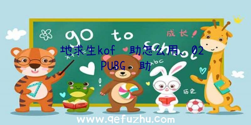 绝地求生kof辅助怎么用、02PUBG辅助