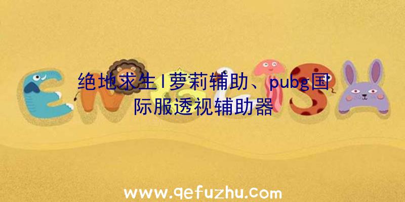 绝地求生l萝莉辅助、pubg国际服透视辅助器