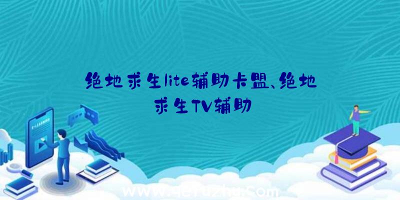 绝地求生lite辅助卡盟、绝地求生TV辅助