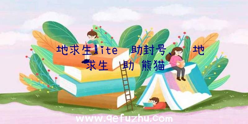 绝地求生lite辅助封号、绝地求生辅助