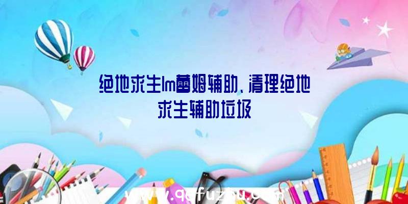 绝地求生lm蕾姆辅助、清理绝地求生辅助垃圾