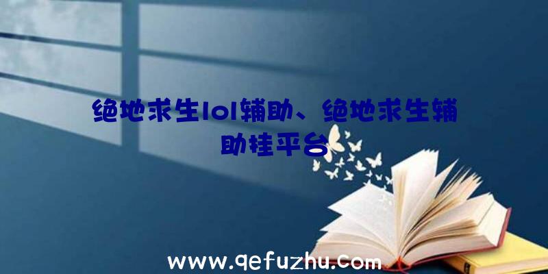 绝地求生lol辅助、绝地求生辅助挂平台