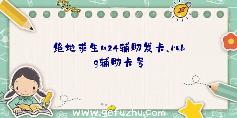 绝地求生m24辅助发卡、pubg辅助卡号