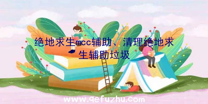 绝地求生mcc辅助、清理绝地求生辅助垃圾