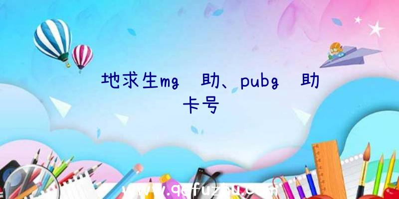 绝地求生mg辅助、pubg辅助卡号