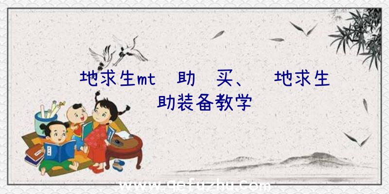 绝地求生mt辅助购买、绝地求生辅助装备教学