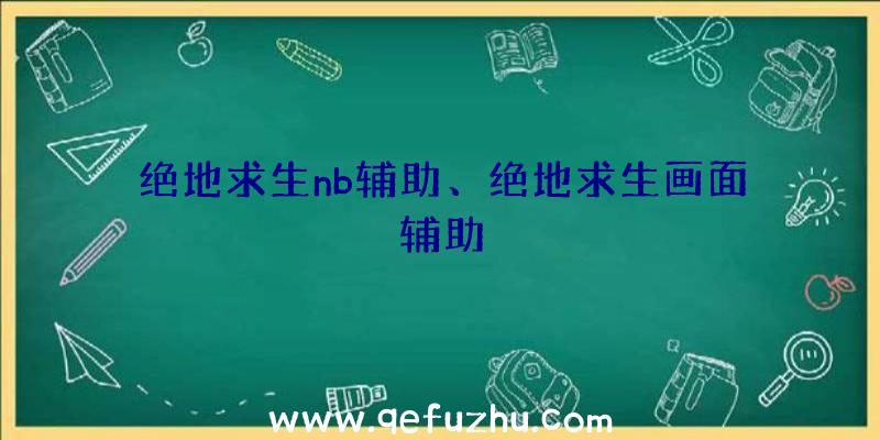 绝地求生nb辅助、绝地求生画面辅助