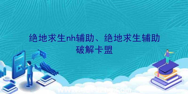 绝地求生nh辅助、绝地求生辅助破解卡盟