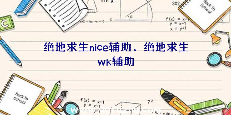 绝地求生nice辅助、绝地求生wk辅助