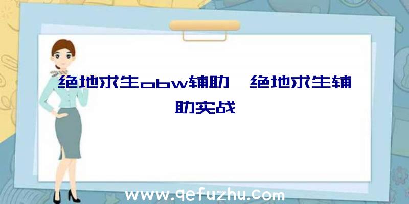 绝地求生obw辅助、绝地求生辅助实战