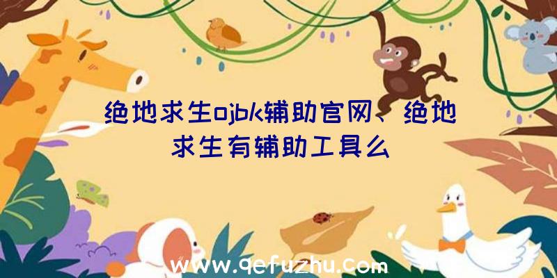 绝地求生ojbk辅助官网、绝地求生有辅助工具么