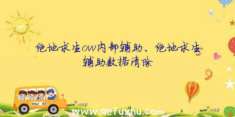 绝地求生ow内部辅助、绝地求生辅助数据清除