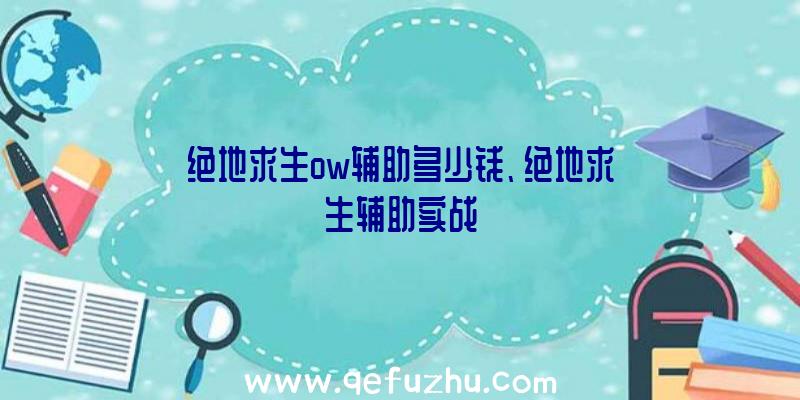 绝地求生ow辅助多少钱、绝地求生辅助实战