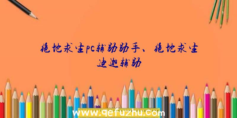 绝地求生pc辅助助手、绝地求生迪迦辅助