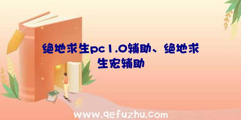 绝地求生pc1.0辅助、绝地求生宏辅助