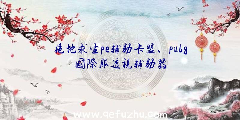 绝地求生pe辅助卡盟、pubg国际服透视辅助器