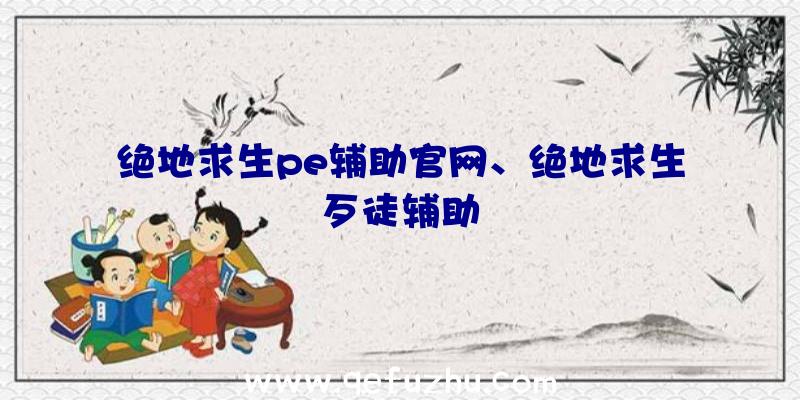 绝地求生pe辅助官网、绝地求生歹徒辅助