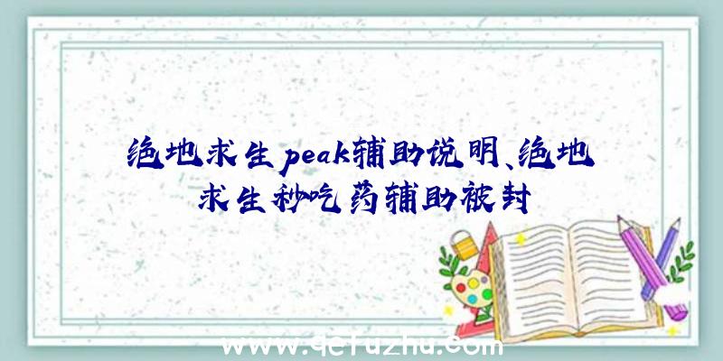 绝地求生peak辅助说明、绝地求生秒吃药辅助被封