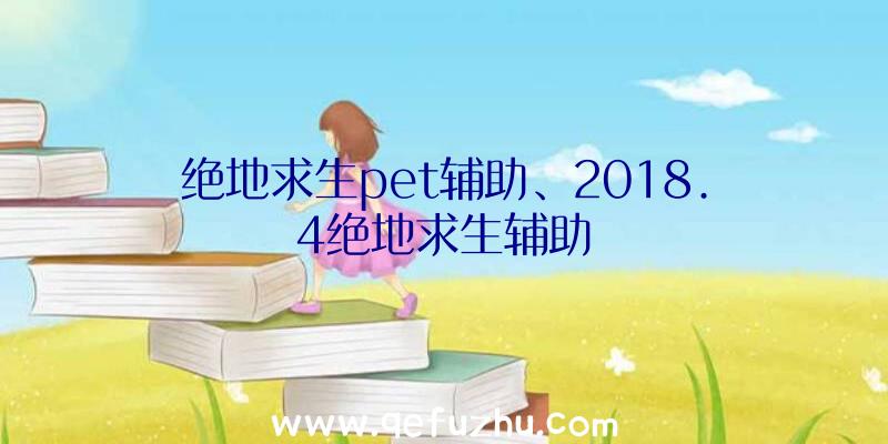 绝地求生pet辅助、2018.4绝地求生辅助