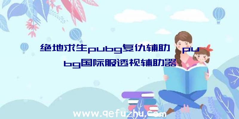 绝地求生pubg复仇辅助、pubg国际服透视辅助器