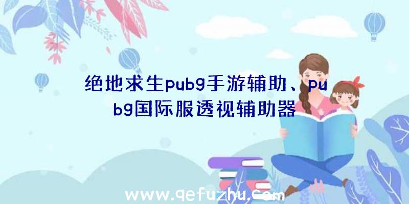 绝地求生pubg手游辅助、pubg国际服透视辅助器