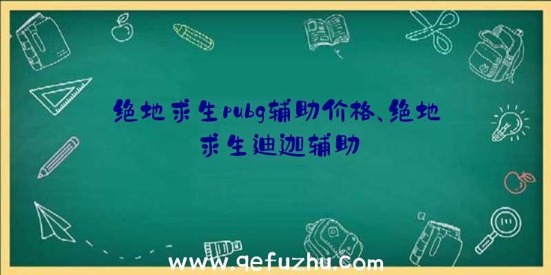 绝地求生pubg辅助价格、绝地求生迪迦辅助