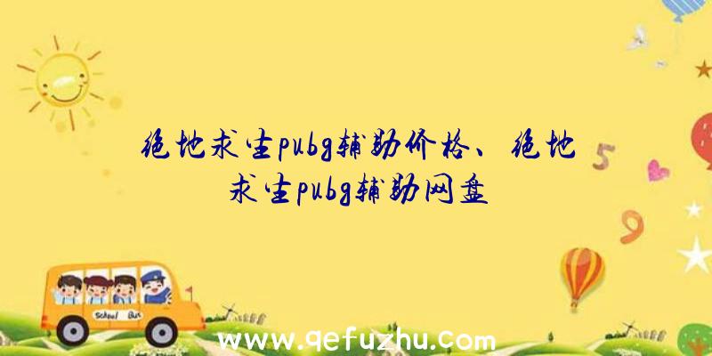 绝地求生pubg辅助价格、绝地求生pubg辅助网盘